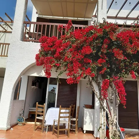 Апартаменты Afroditi House '5 Корфос